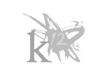 k12-logo-100x100-2